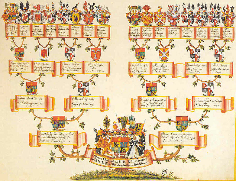 Coomer Coat of Arms, Family Crest & History 11x17 Print - Name Meaning Plus  Genealogy, Family Tree Research - Surname Origin: England/English :  : Everything Else